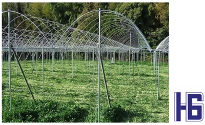 L'application des tuyaux en fibre de carbone dans l'agriculture