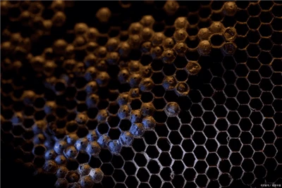Quelles sont les meilleures propriétés des produits en fibre de carbone ?